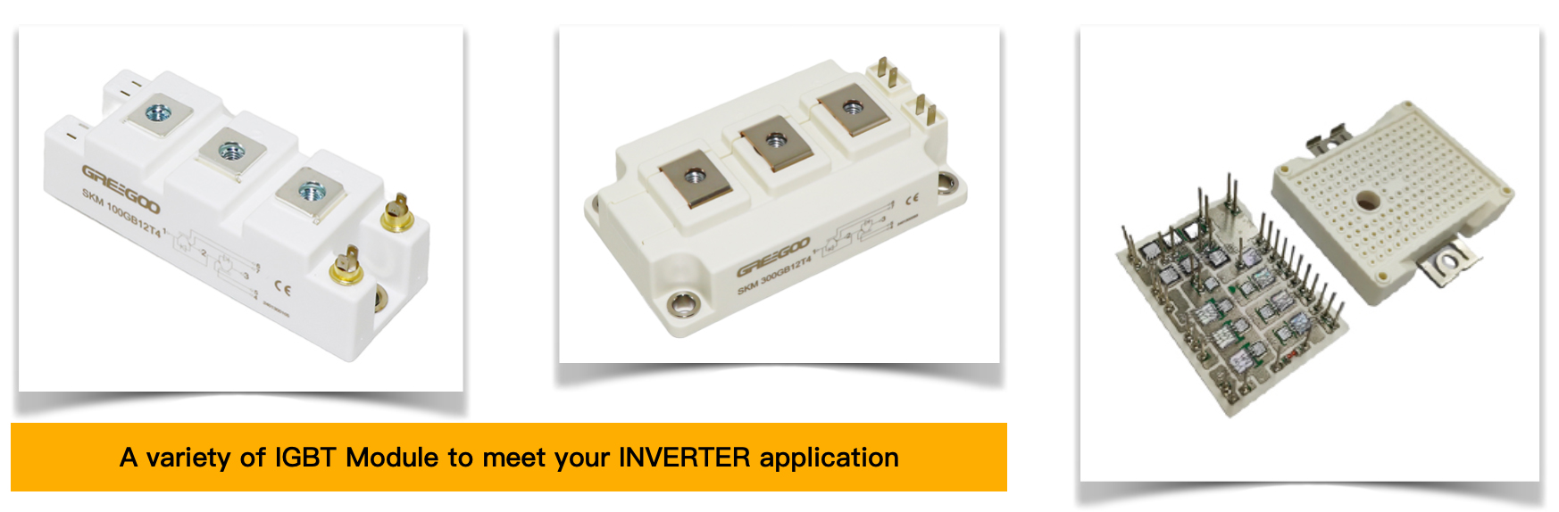 IGBT Module