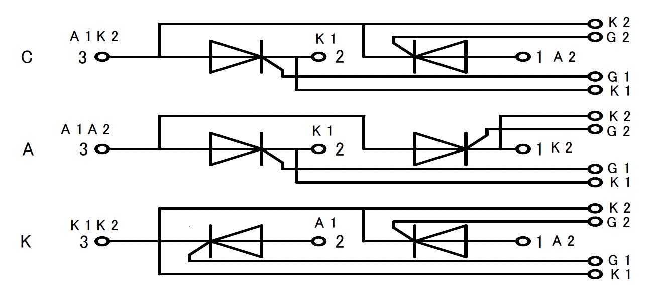 circuit of dual scr power modules