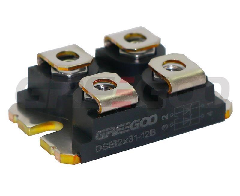 DSEI2x31-06C FRED module