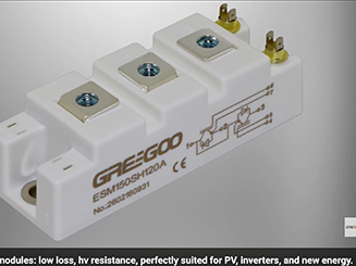 GREEGOO IGBT modules: Low loss & high voltage. Great for solar, inverters & EV